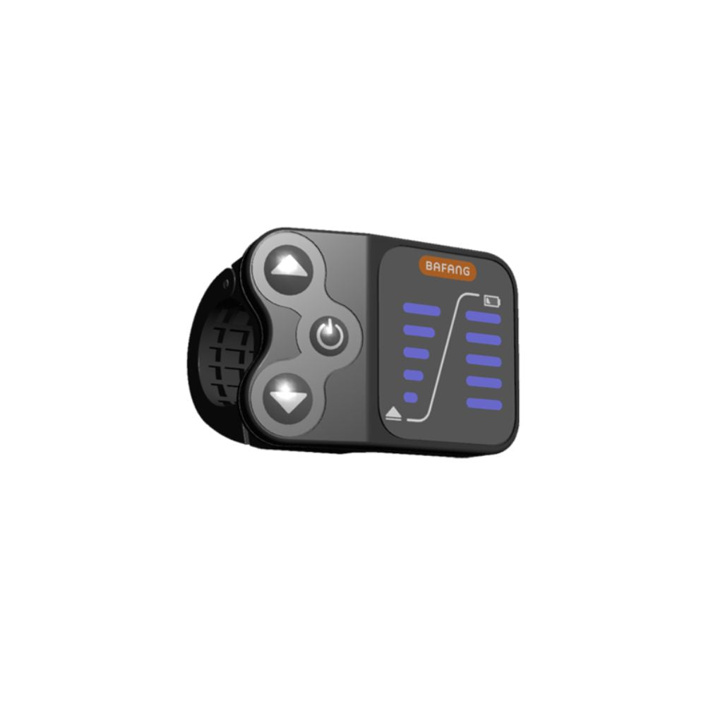 Bafang DP E10 Display for TENWAYS CGO009
