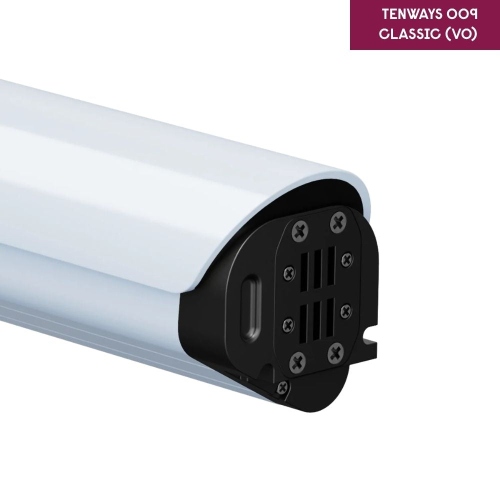 TENWAYS Battery (CGO009 V0)