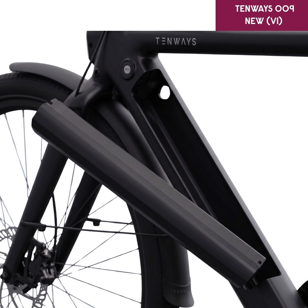 TENWAYS Battery (CGO009 V1)