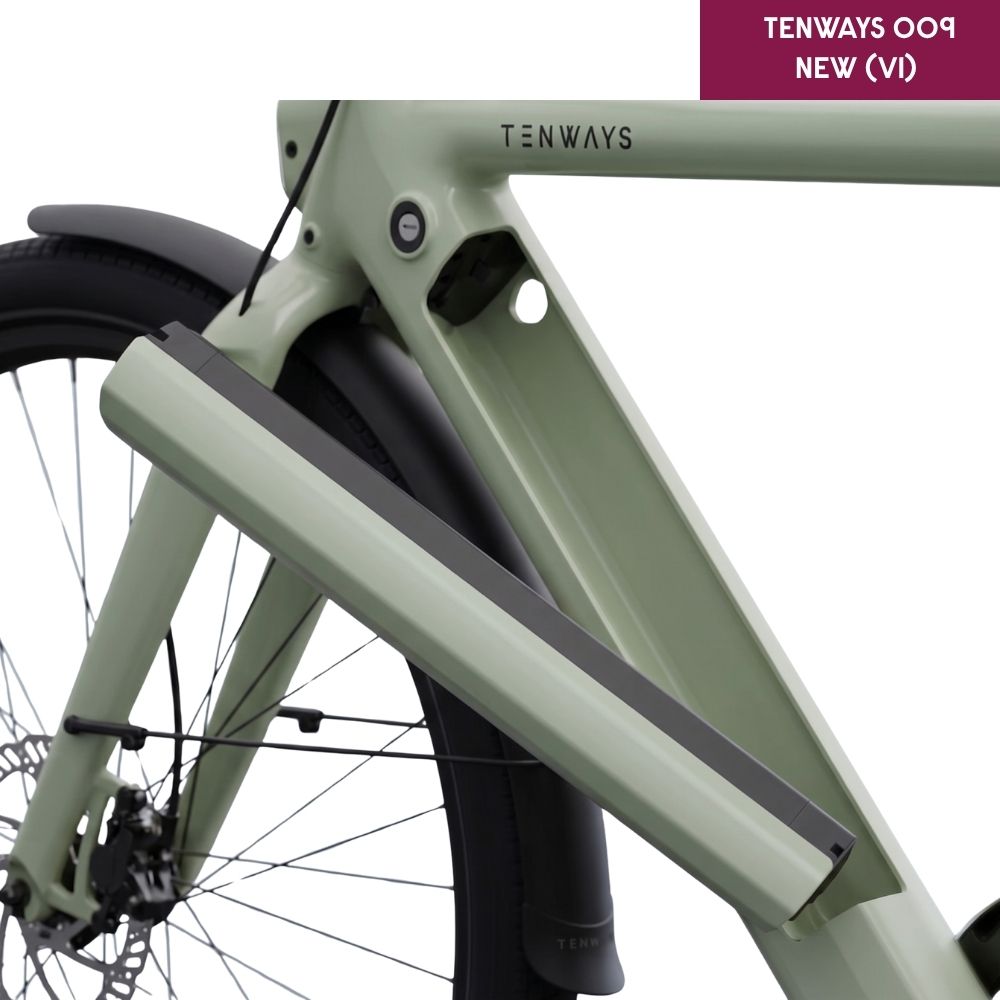 TENWAYS Battery (CGO009 V1)