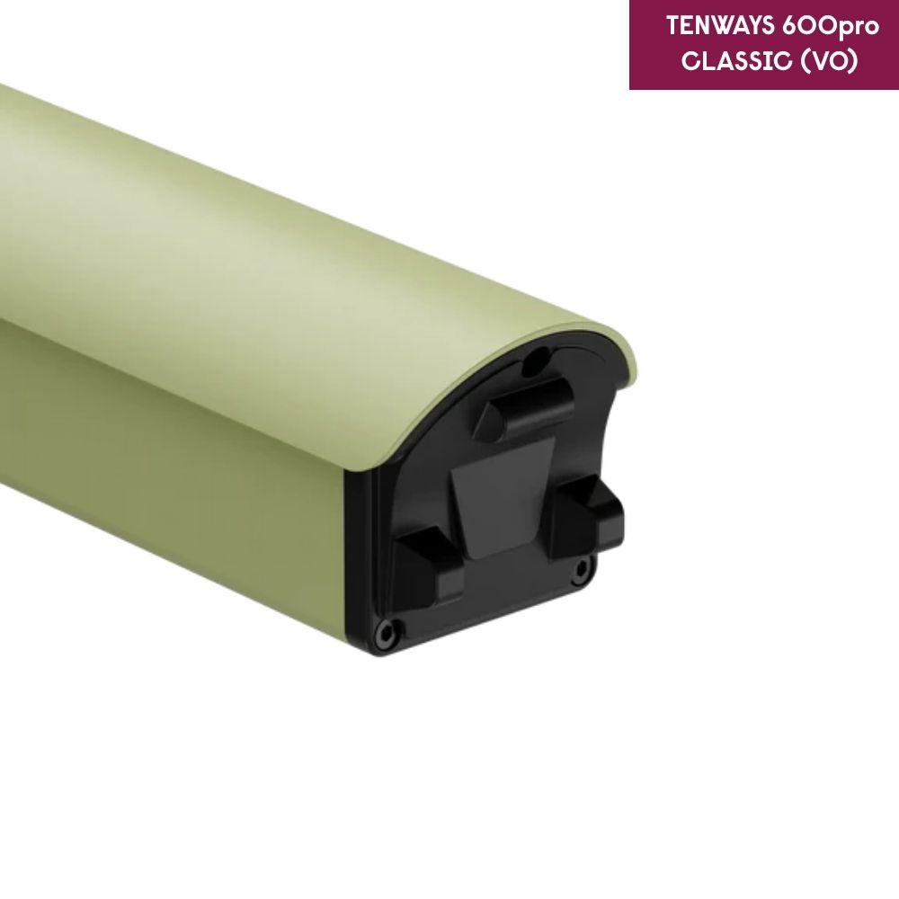 TENWAYS Battery (CGO600 Pro V0)