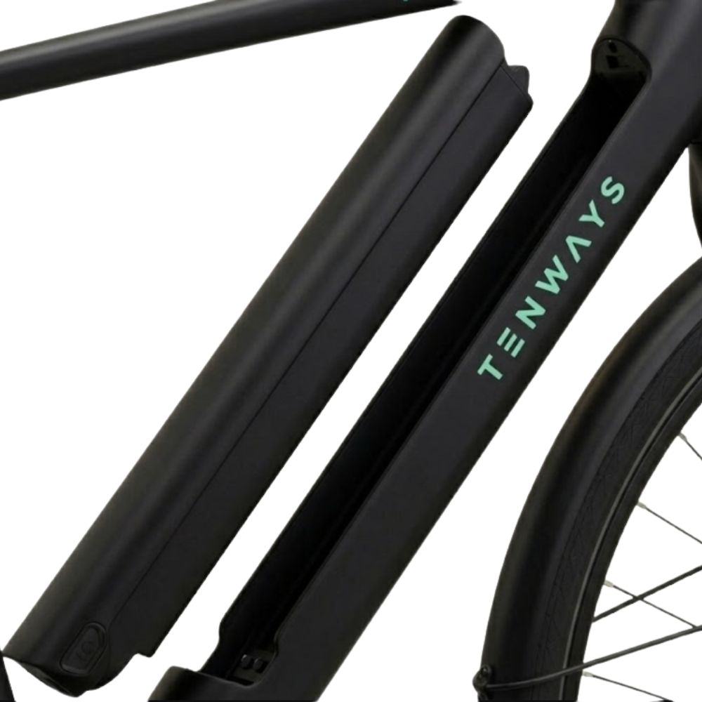 TENWAYS Battery (CGO600 Pro V1)