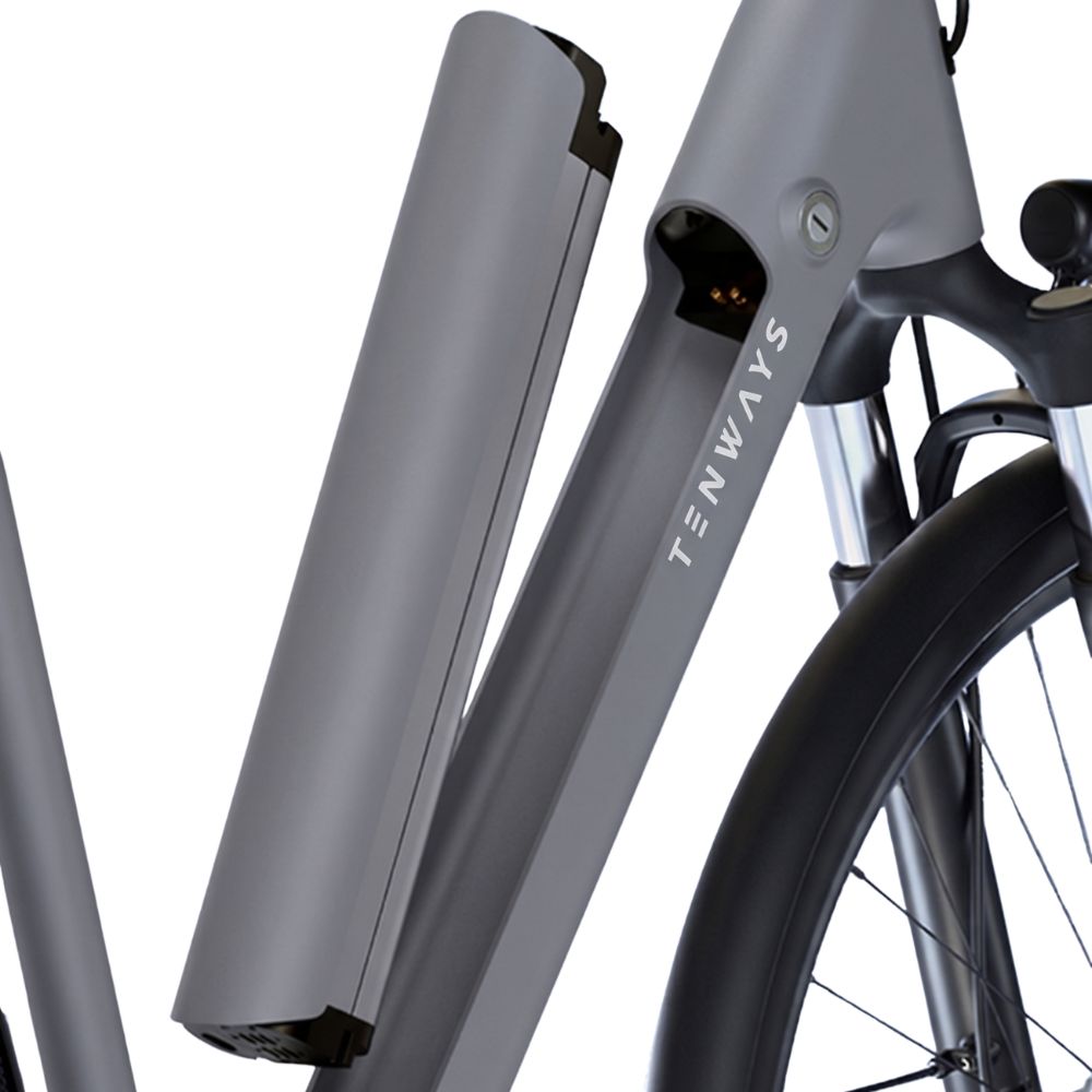 TENWAYS Battery (CGO800S V1)