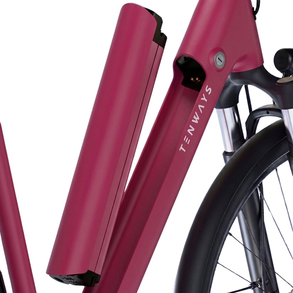 TENWAYS Battery (CGO800S V1)