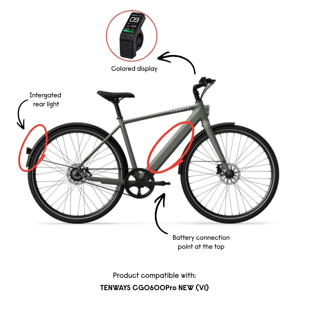 TENWAYS Controller (CGO600 Pro V1)
