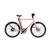 Cowboy Cruiser